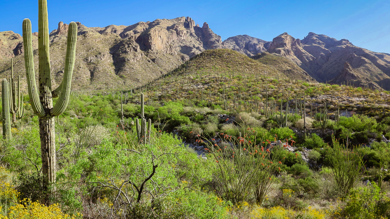 Upper Parking Lot Route