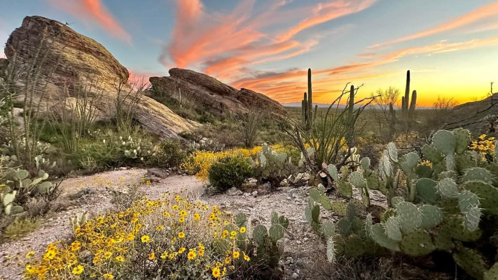 Javelina Rocks Overlook