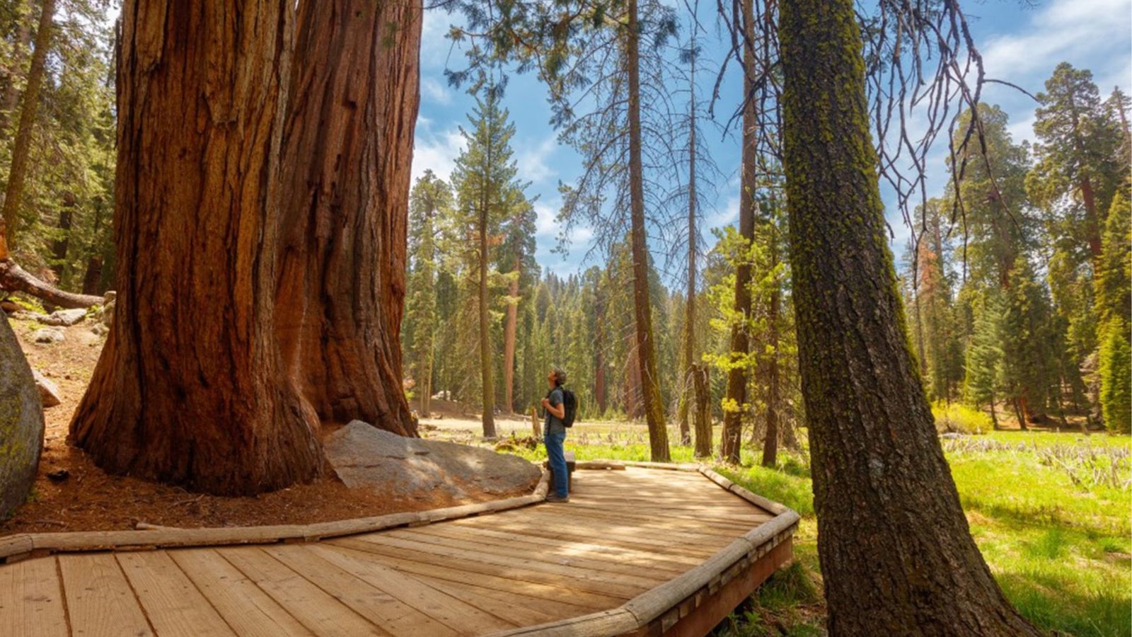 Kings Canyon National Park trip