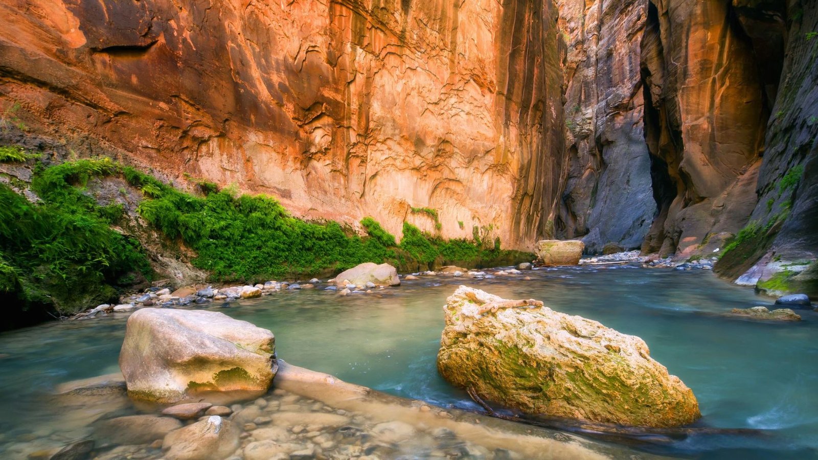 The Narrows (Viewpoint or Full Hike)