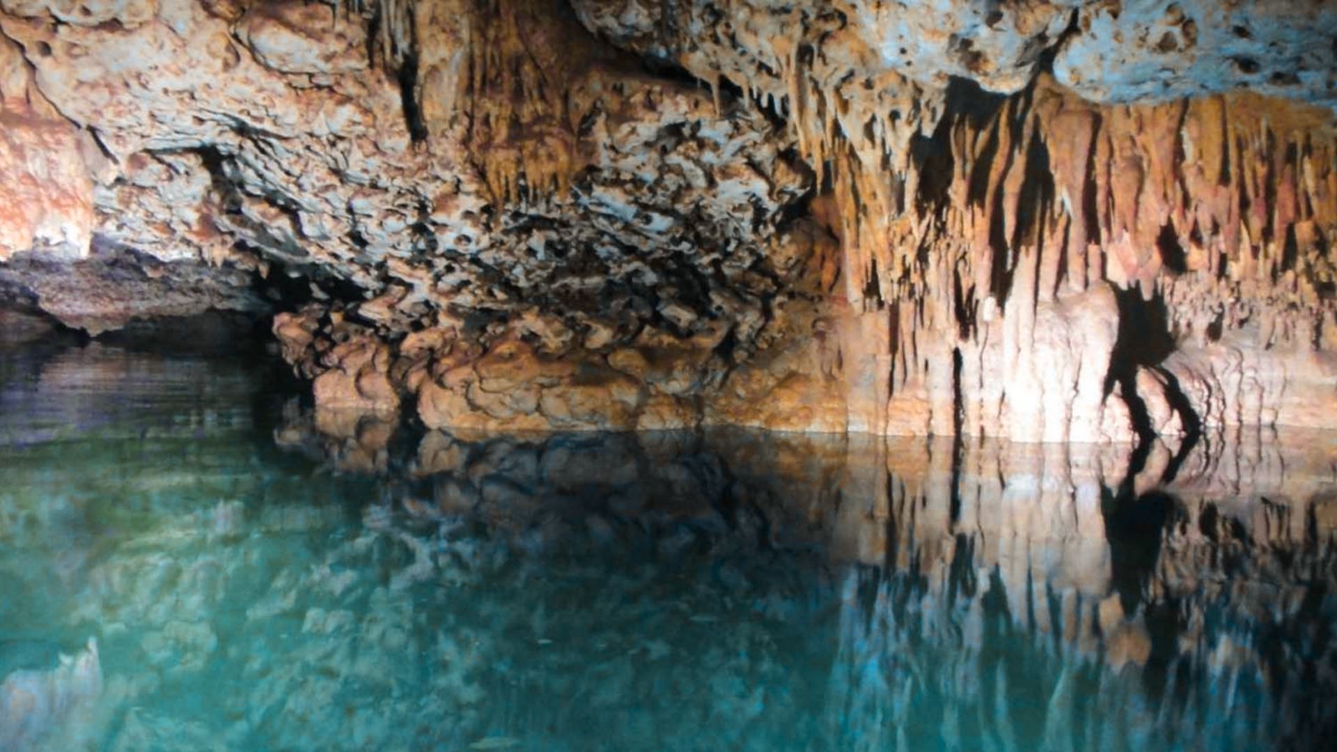 Visit Bonaire Caves