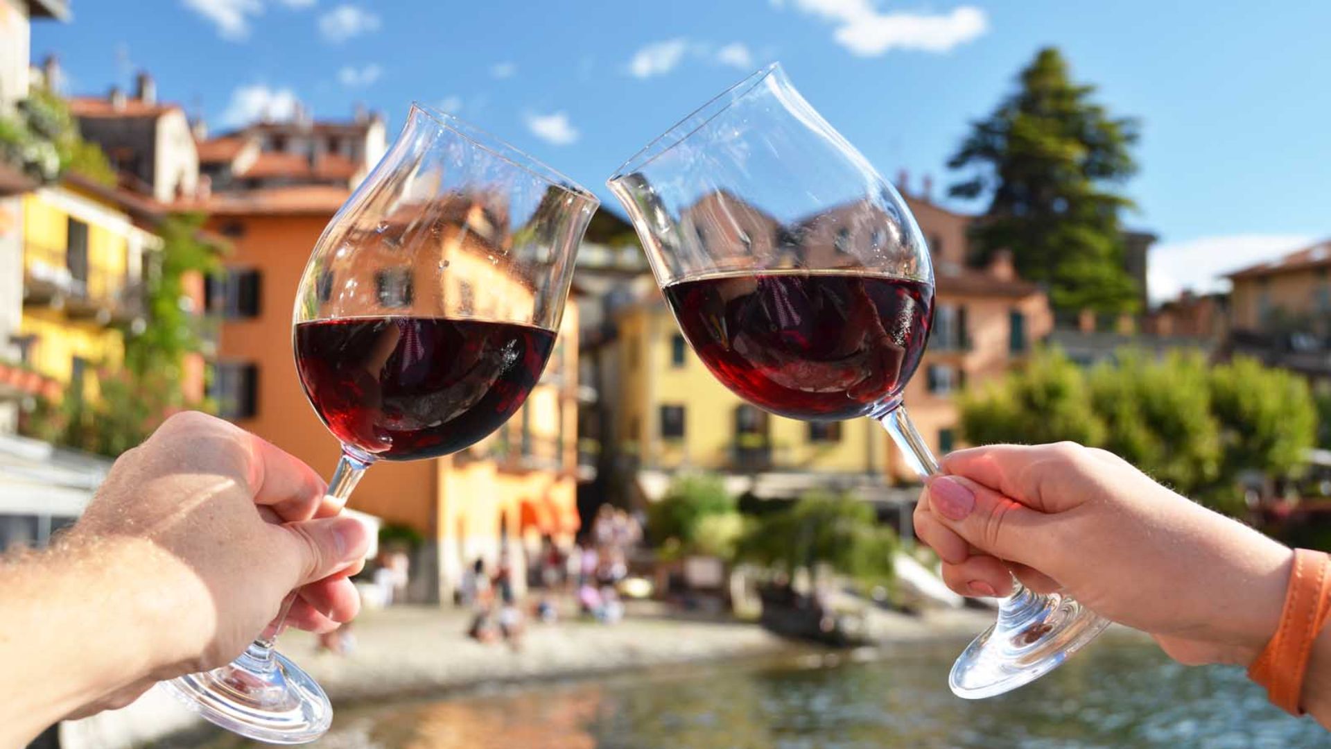 Enjoy a Wine Tasting Tour