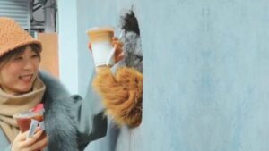 Relax at Bear Paw Café