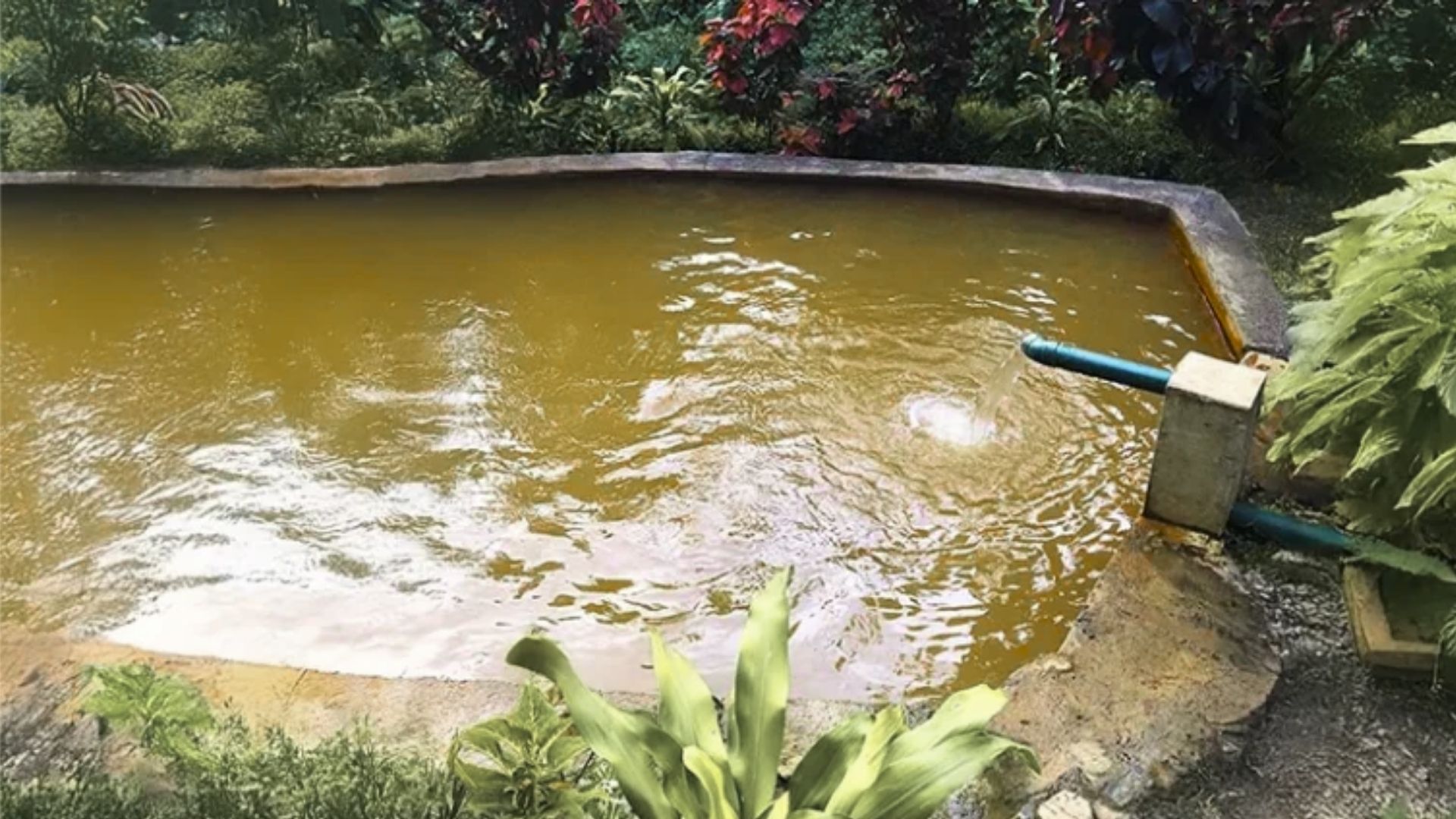 Relax in a Volcanically Heated Spa