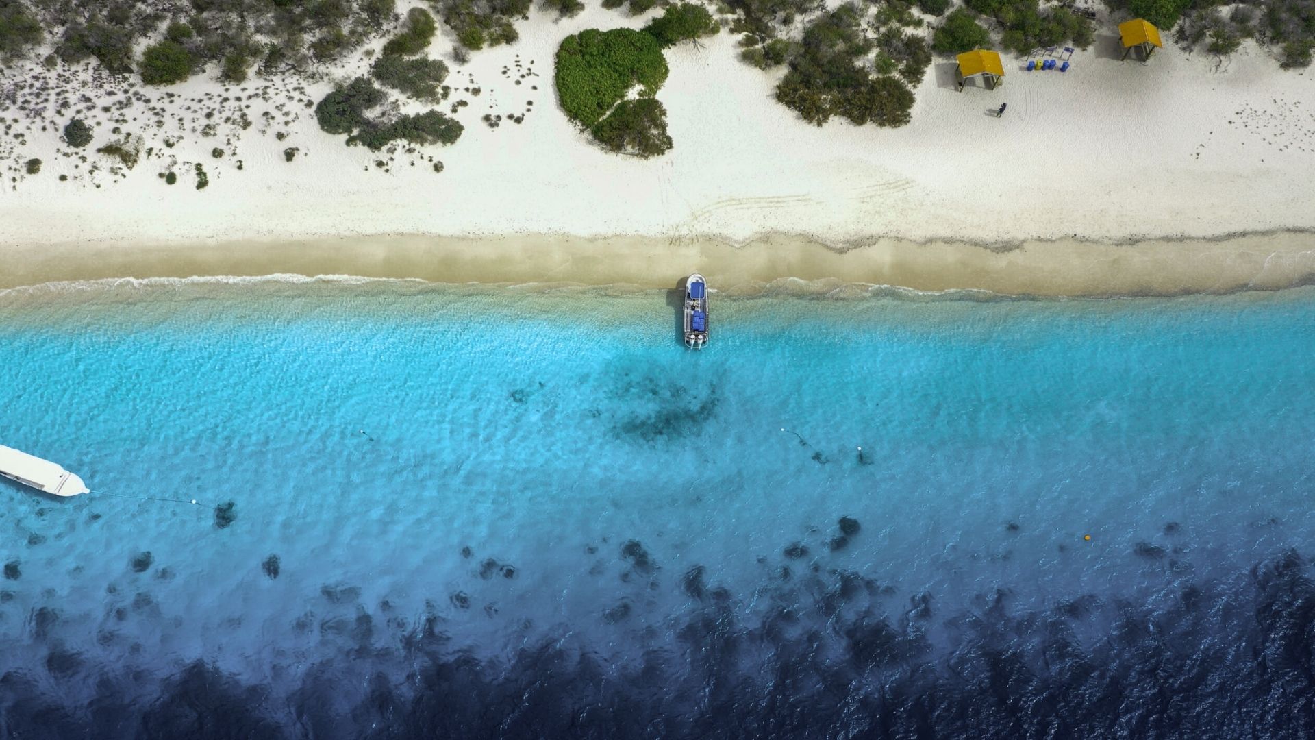 Visit Bonaire National Marine