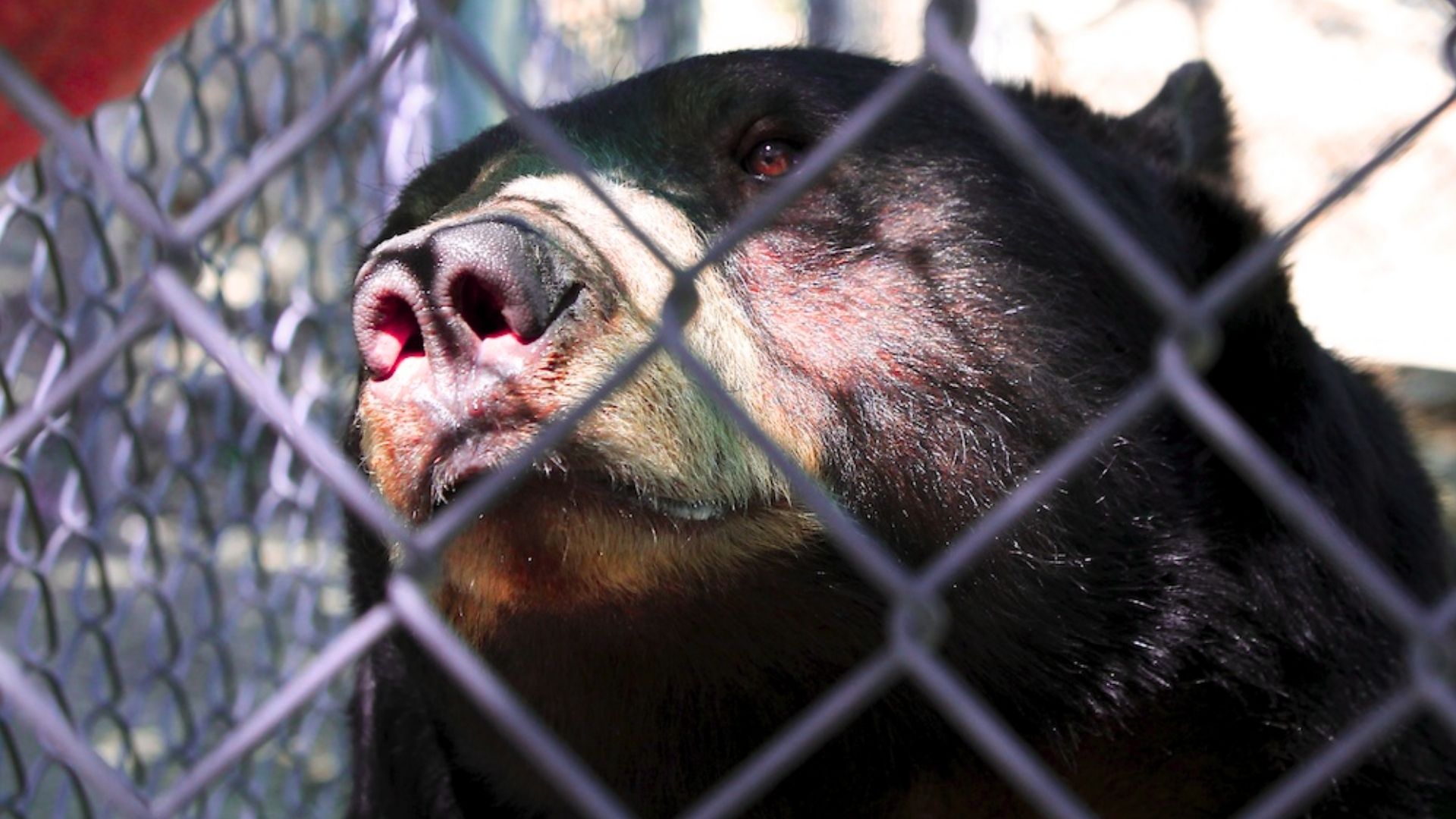 Visit Wildhaven Ranch Wildlife Sanctuary