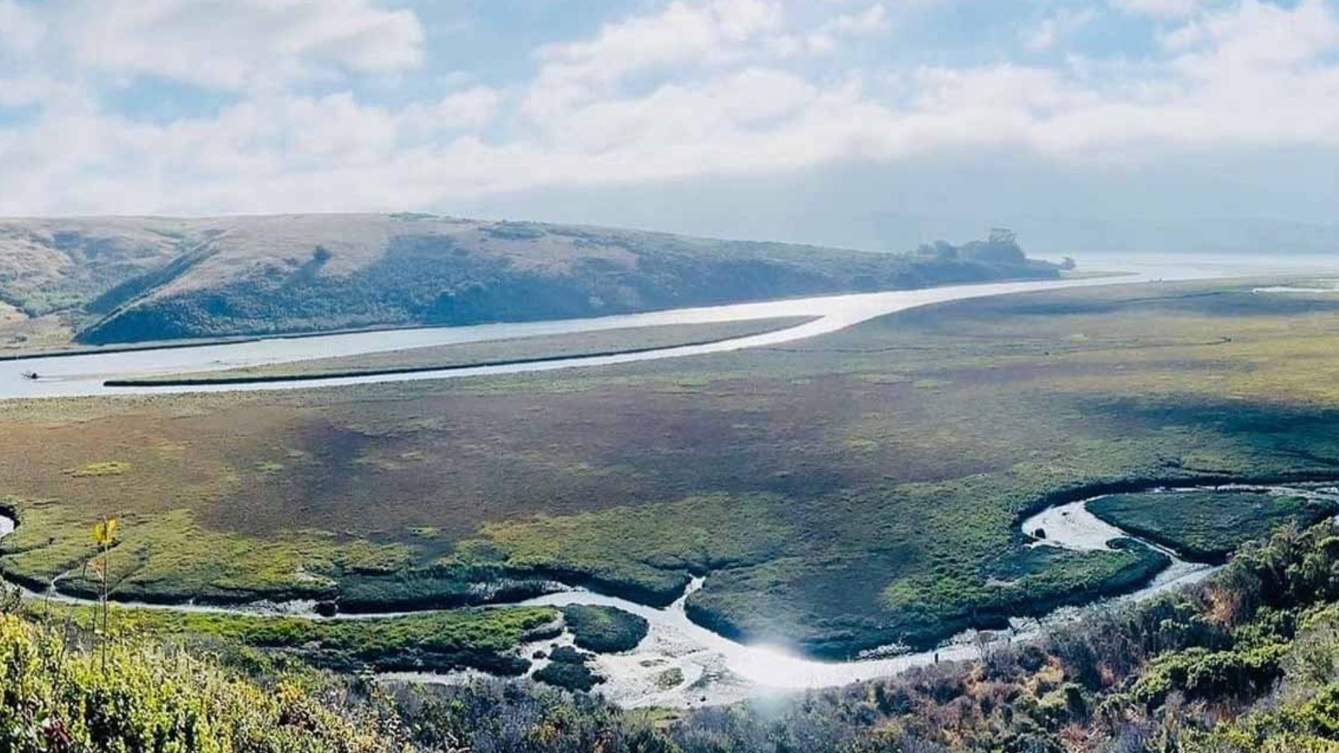 Tomales Bay