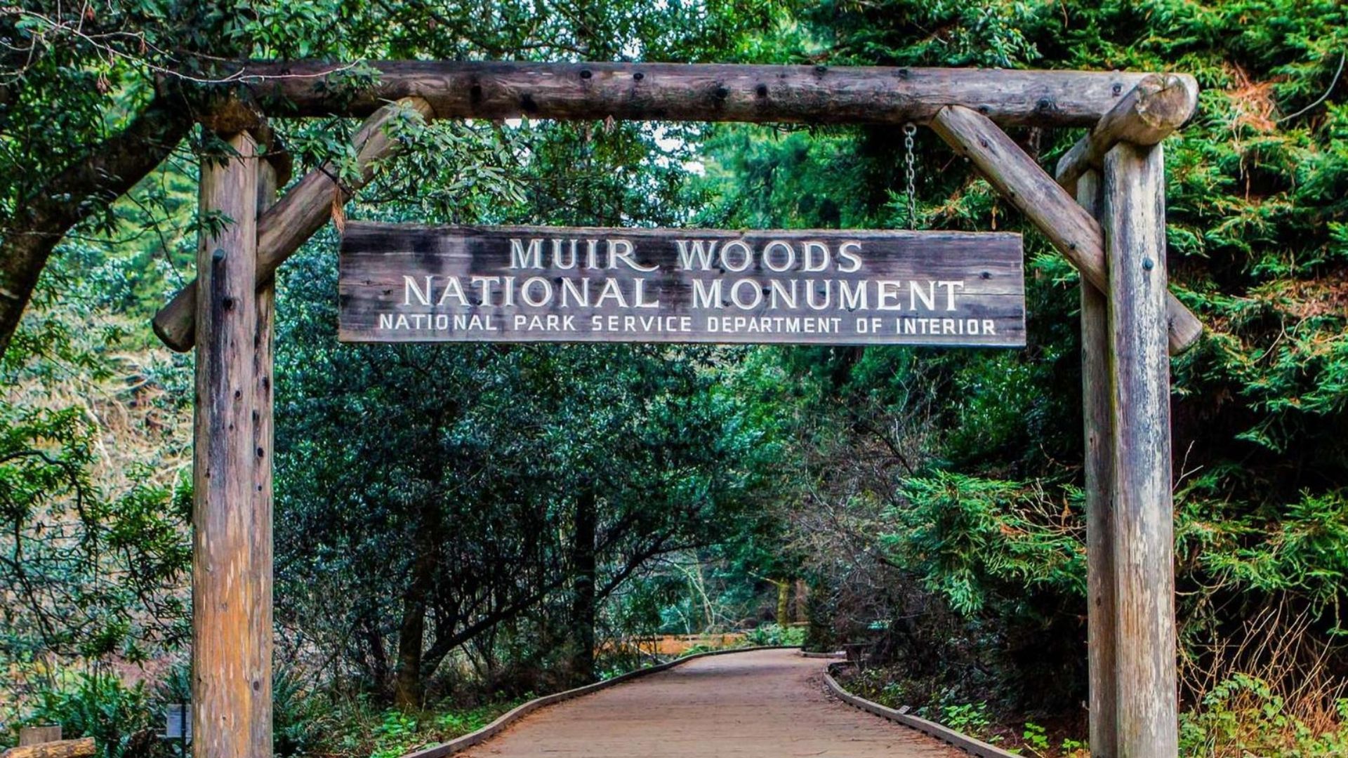 Muir Woods National Monument