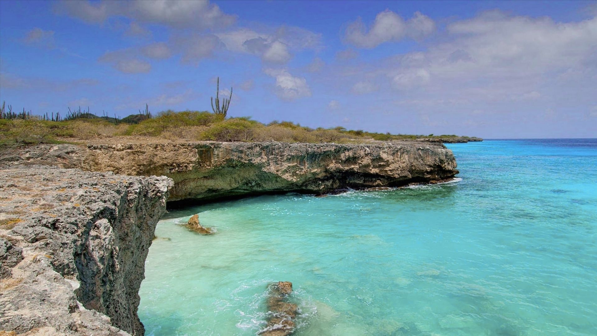 What Makes Bonaire Special