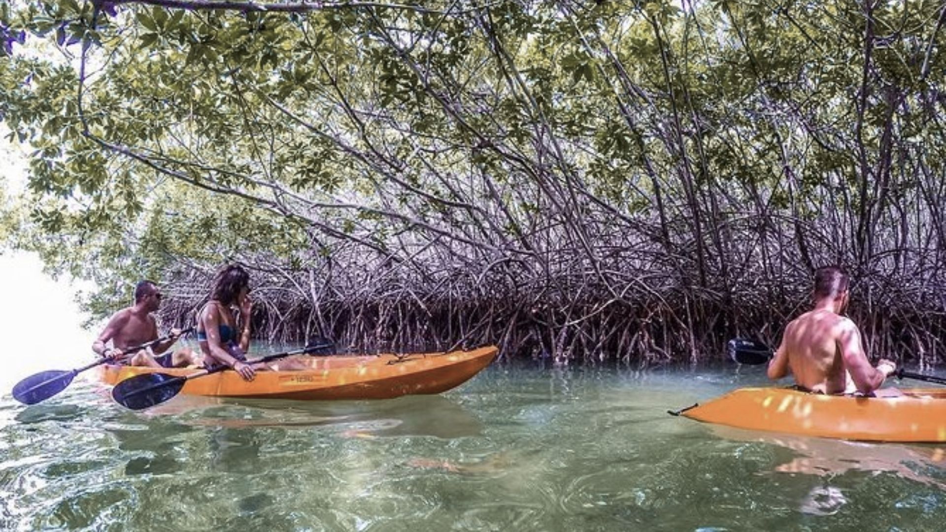 Go Kayaking
