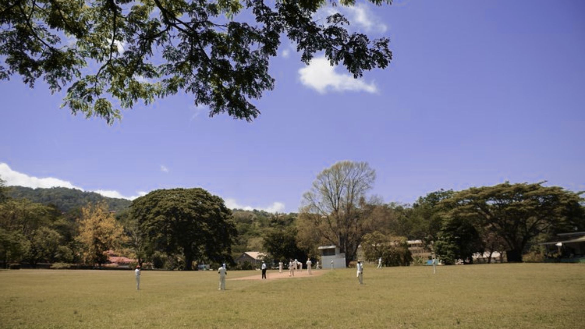 Walk Around the Botanical Gardens