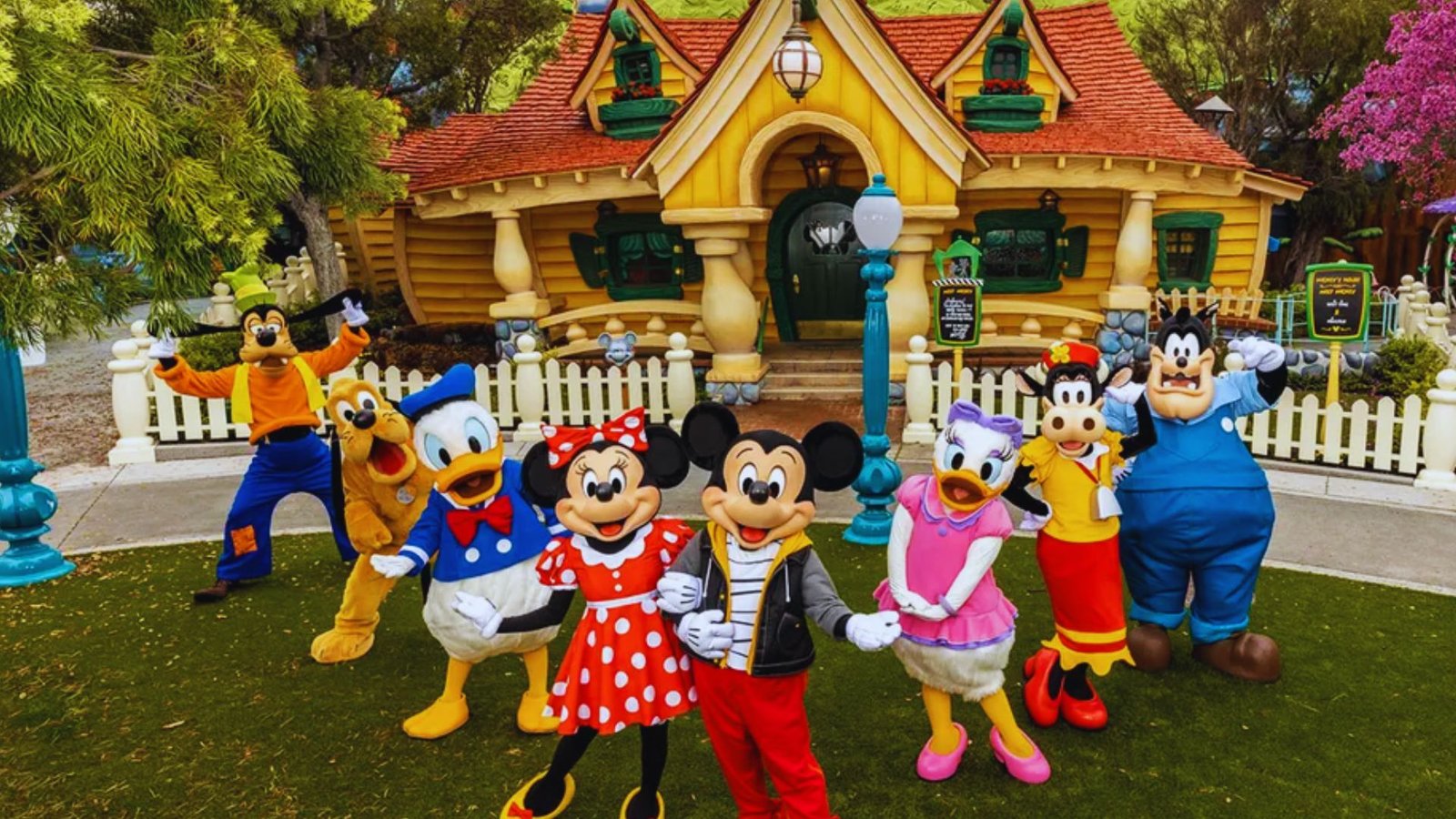 Attractions and Rides Comparison