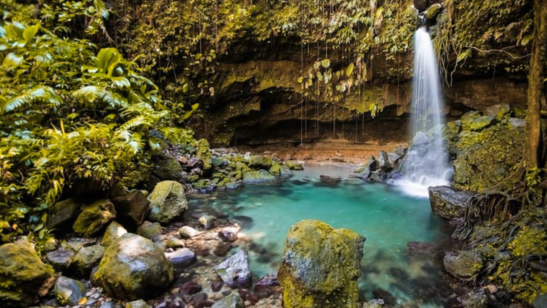 Bathe in the Emerald Pool