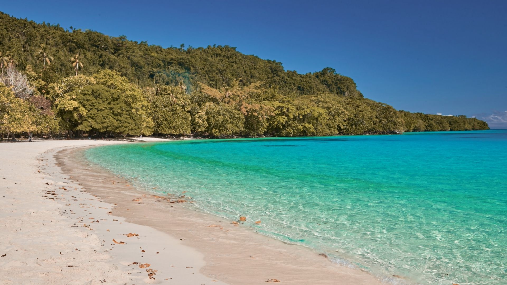 Visit the Northern Beaches