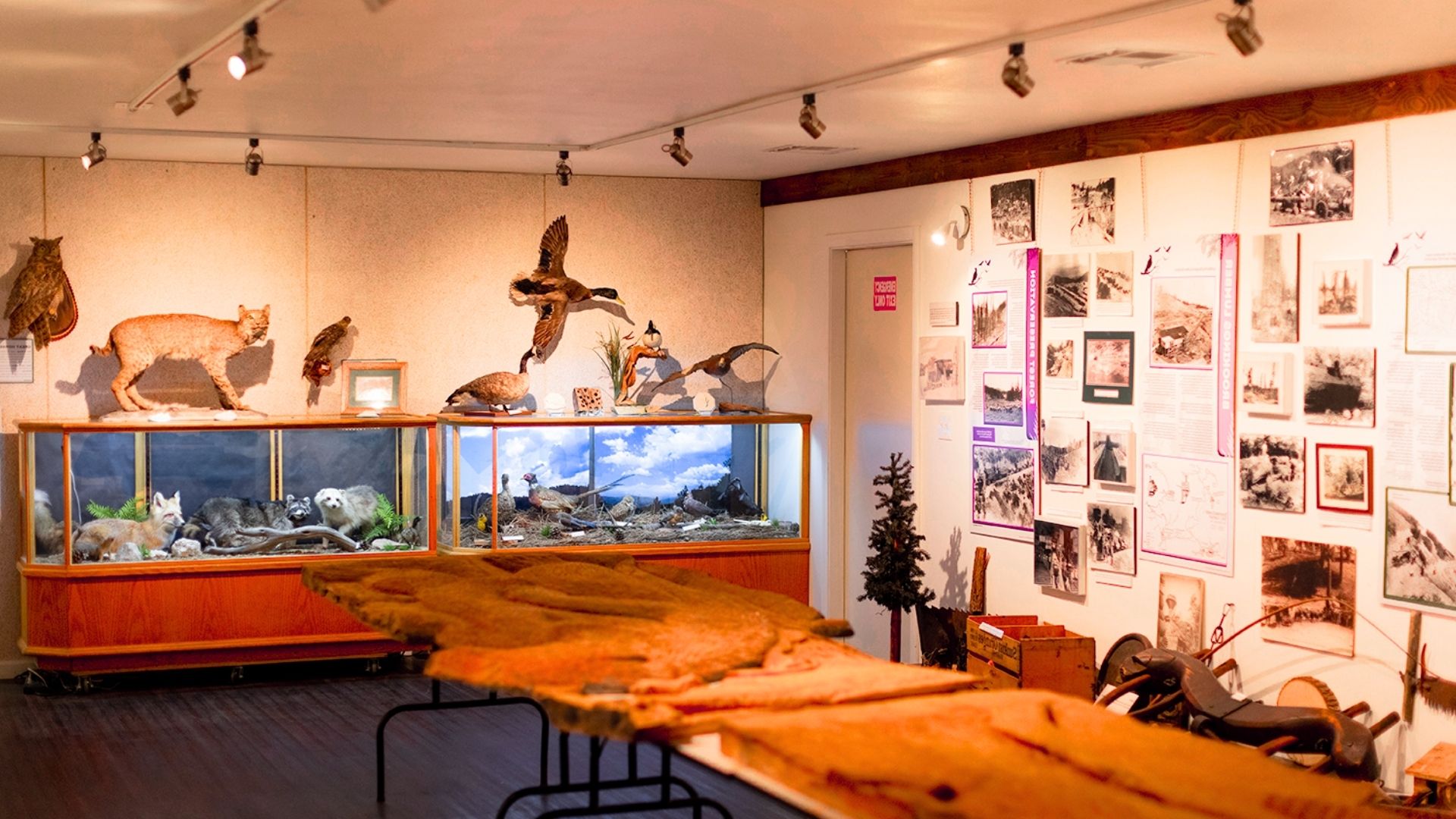 Visit the Mountain History Museum