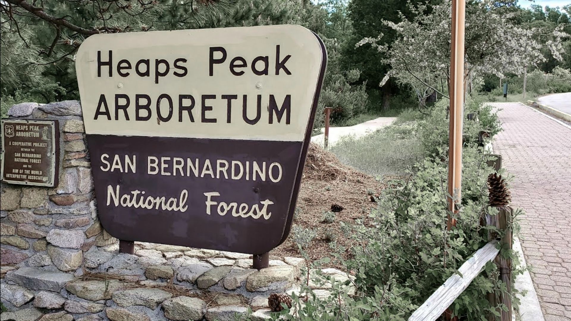 Hike Heaps Peak Arboretum