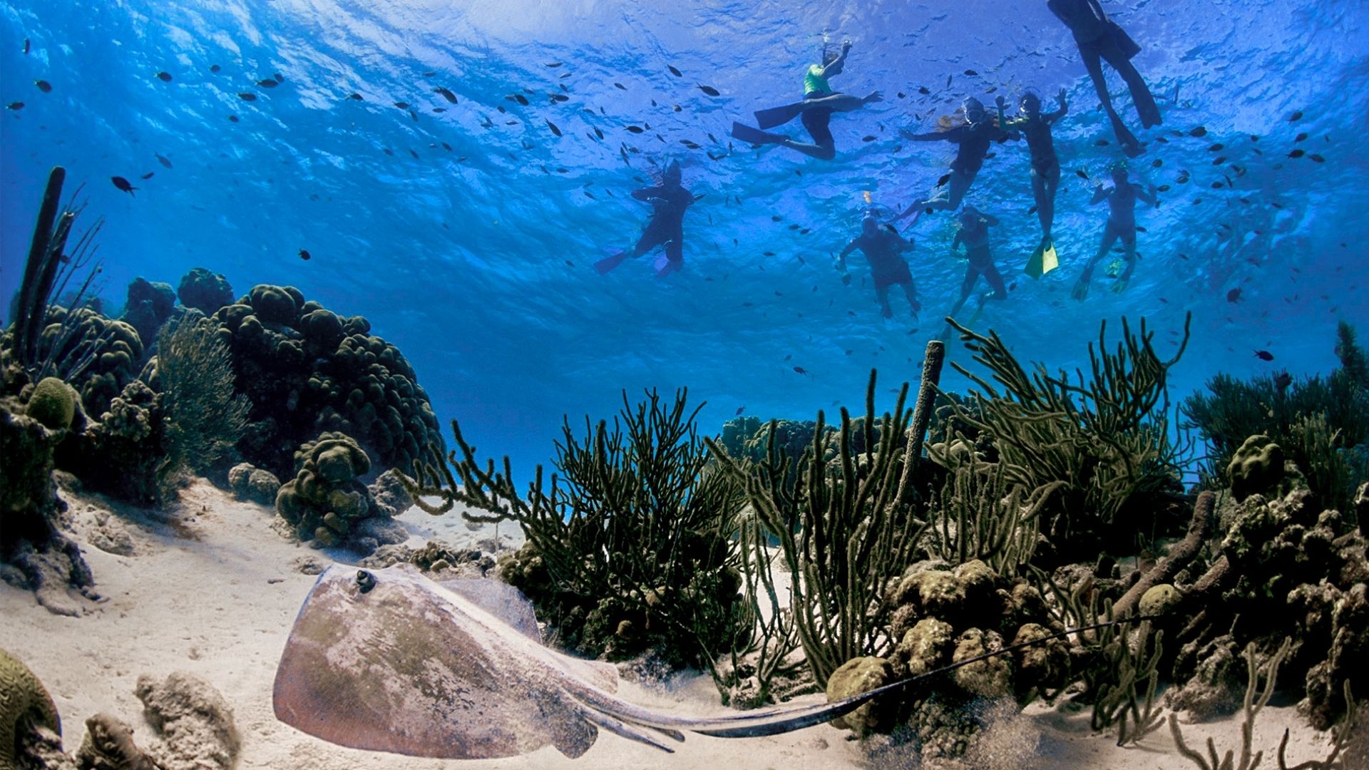 Check Out Klein Bonaire