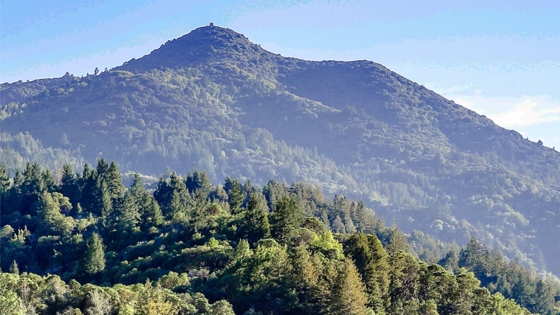 Mount Tamalpais