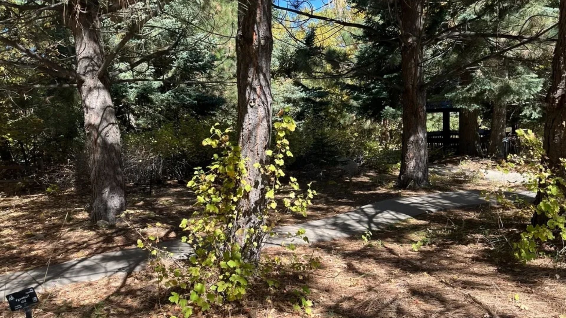 Take a Scenic Drive Around