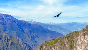 Hike Colca Canyon