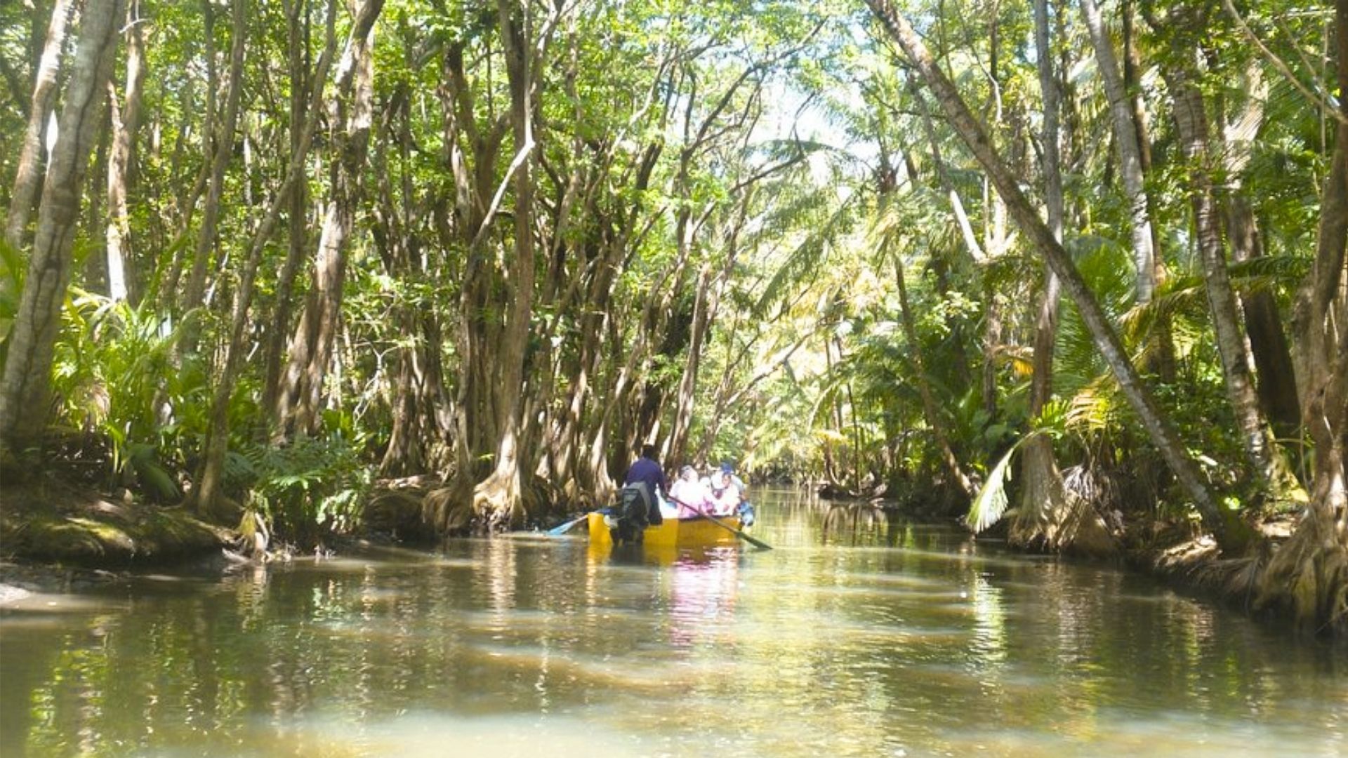 Take a Boat Ride Along the Indian River