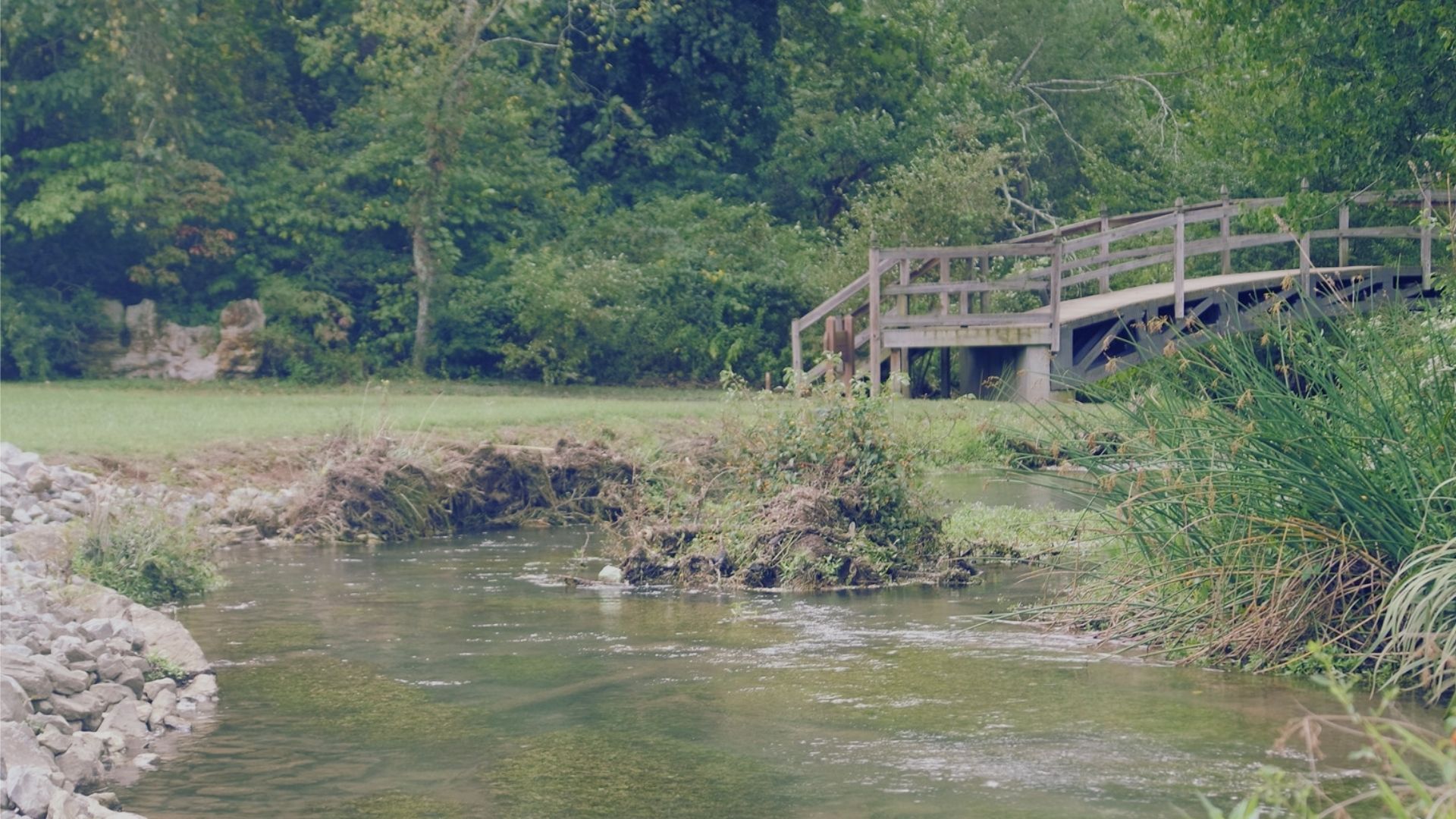 Budget-Friendly Things