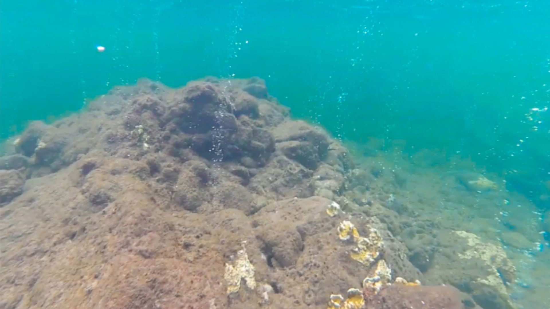 Snorkel at Champagne Reef