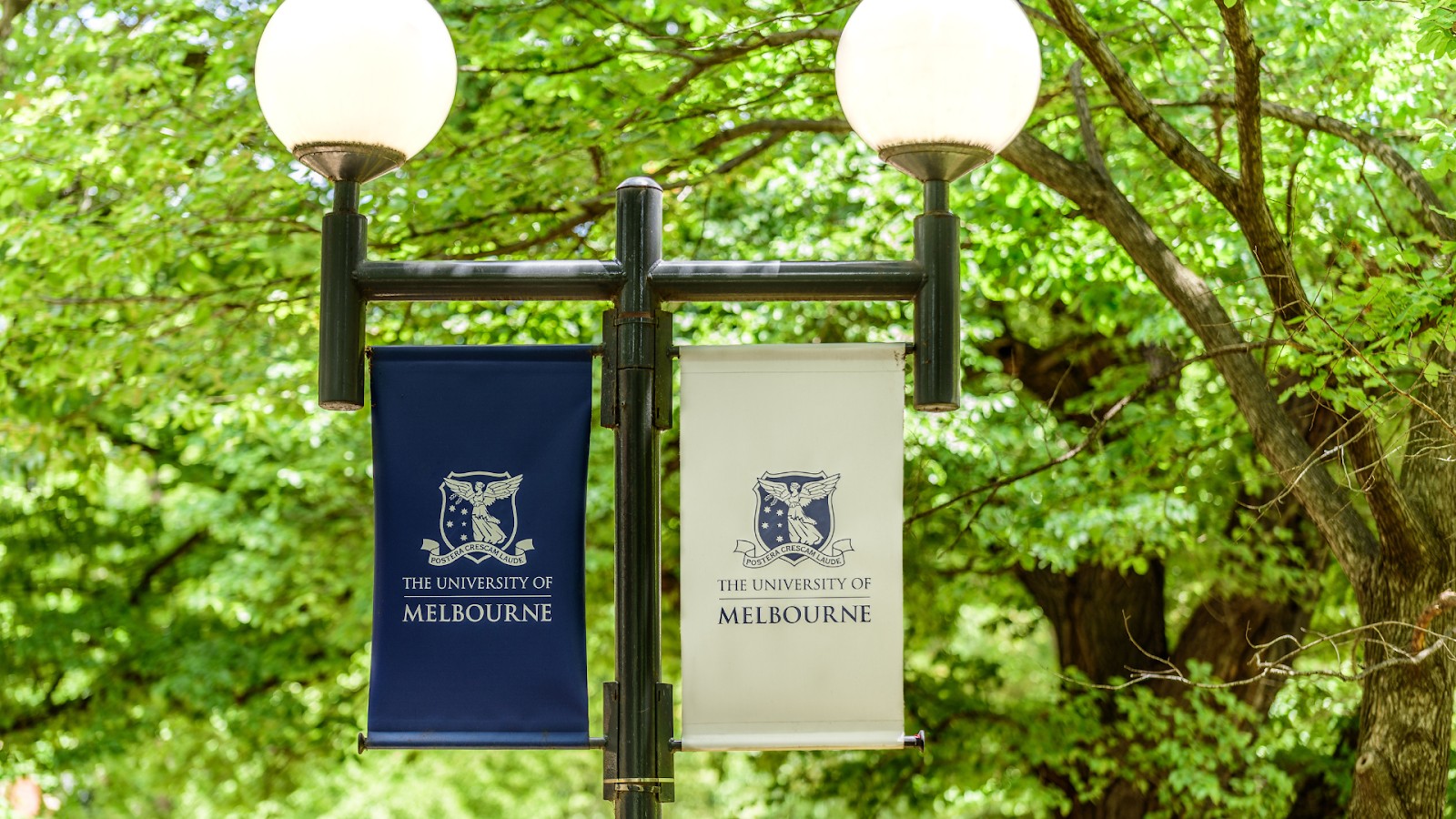 University of Melbourne banners on a lamp post