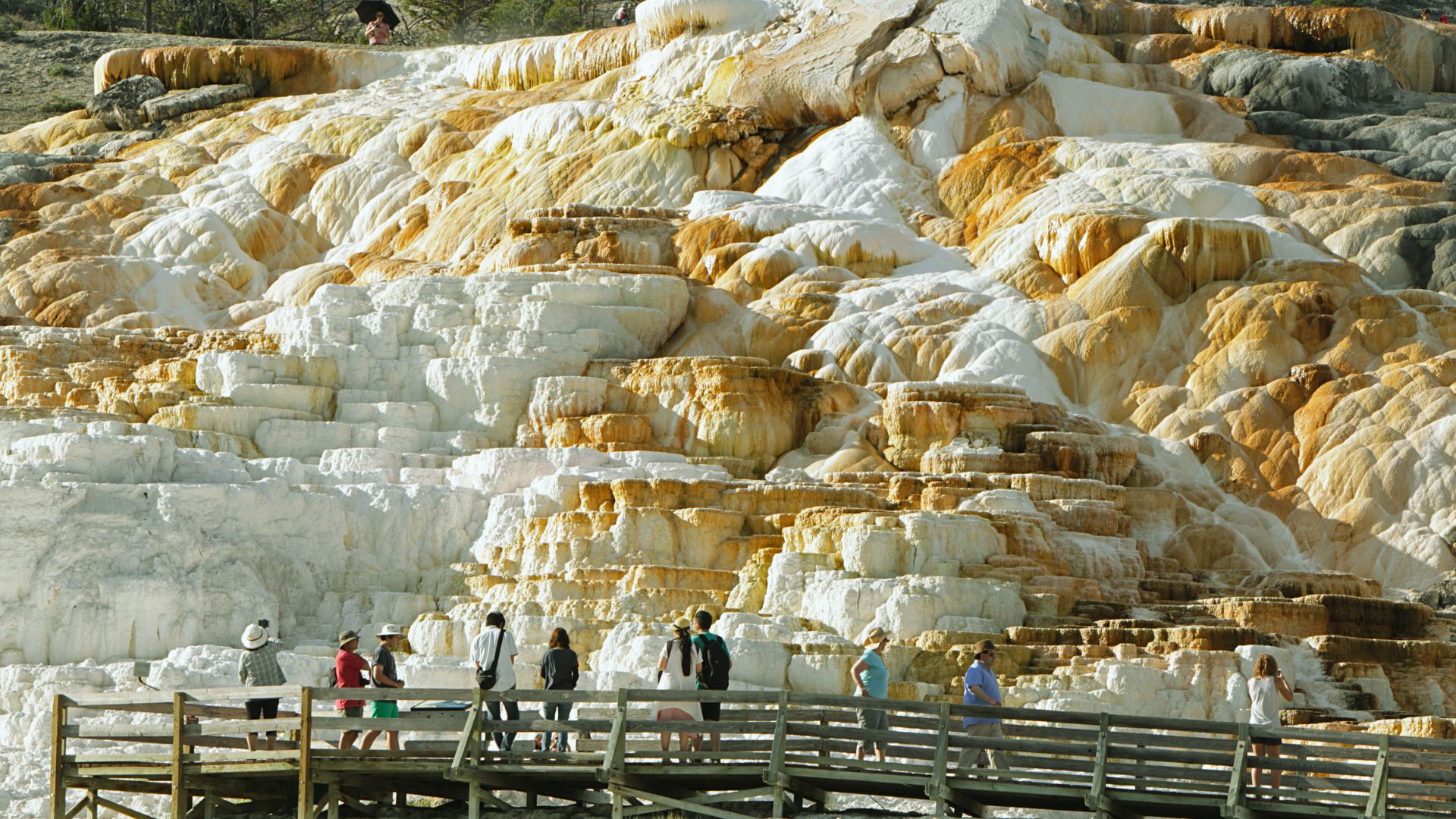 Arrival and Mammoth Hot Springs