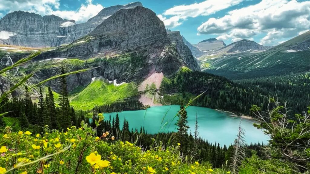 Dogs Allowed in Glacier National