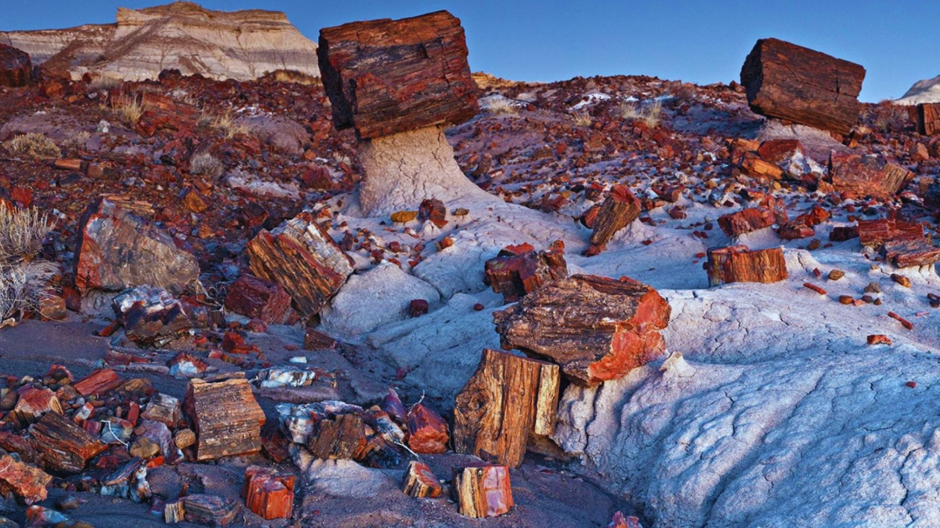A rugged terrain showcasing red and white rocks scattered across the landscape.
