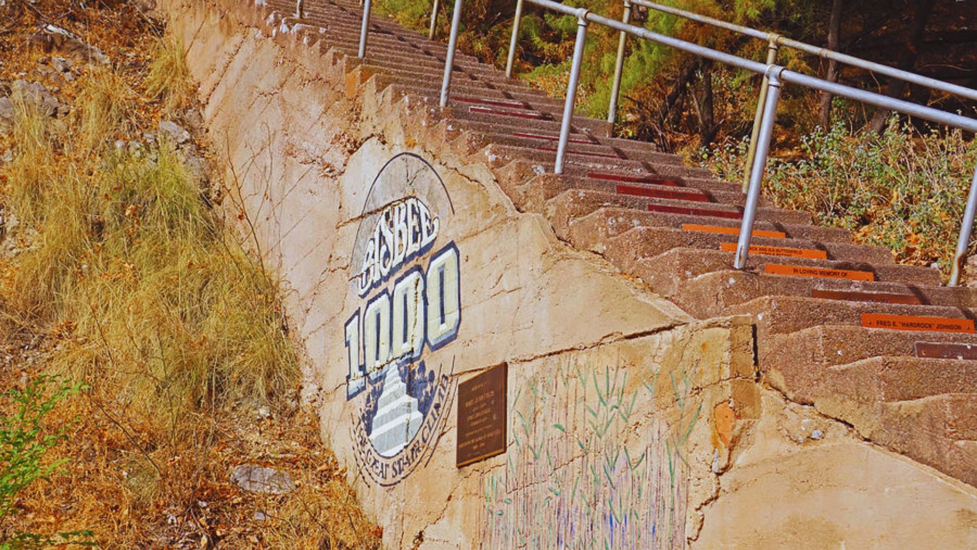 A skateboarder navigates a set of stairs, highlighting their expertise in street skating.