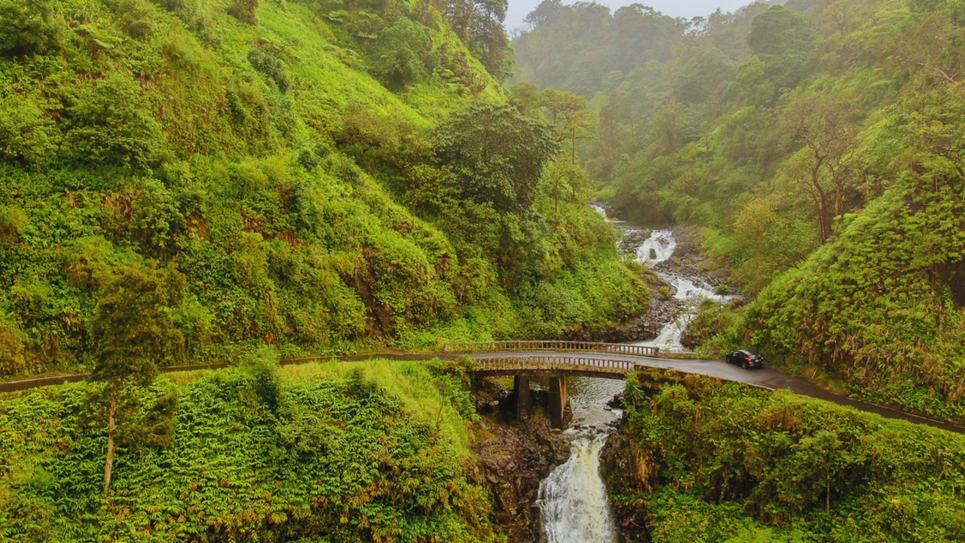 A bridge spans a river in a vibrant green valley, surrounded by lush vegetation and rolling hills.