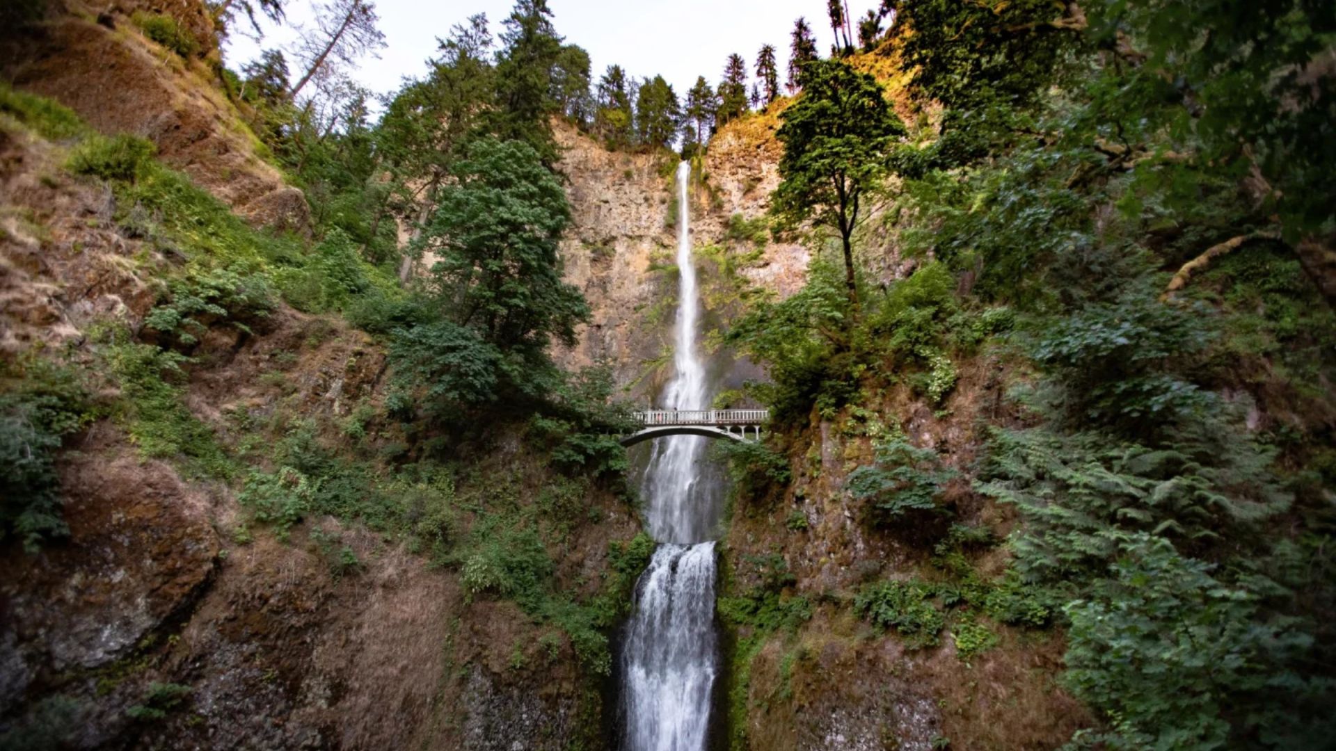 A serene waterfall cascades down surrounded by lush trees and rugged rocks.
