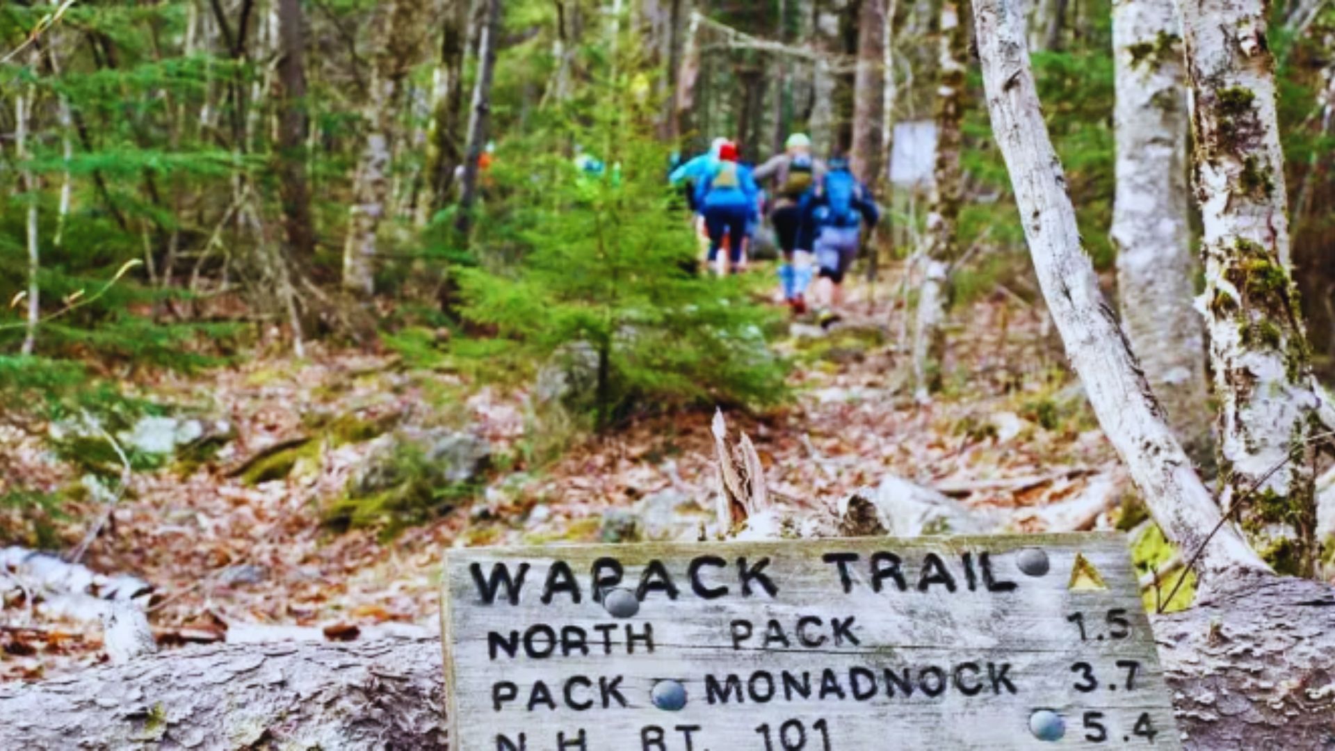 Events and Activities