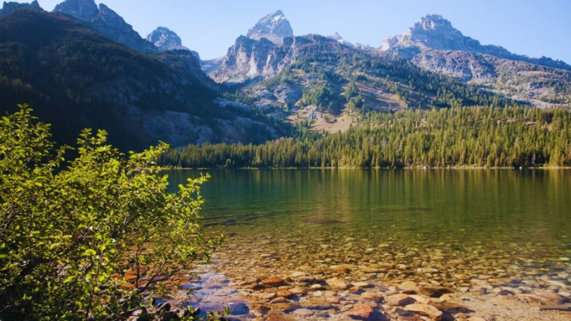 5. Bradley Lake Trail