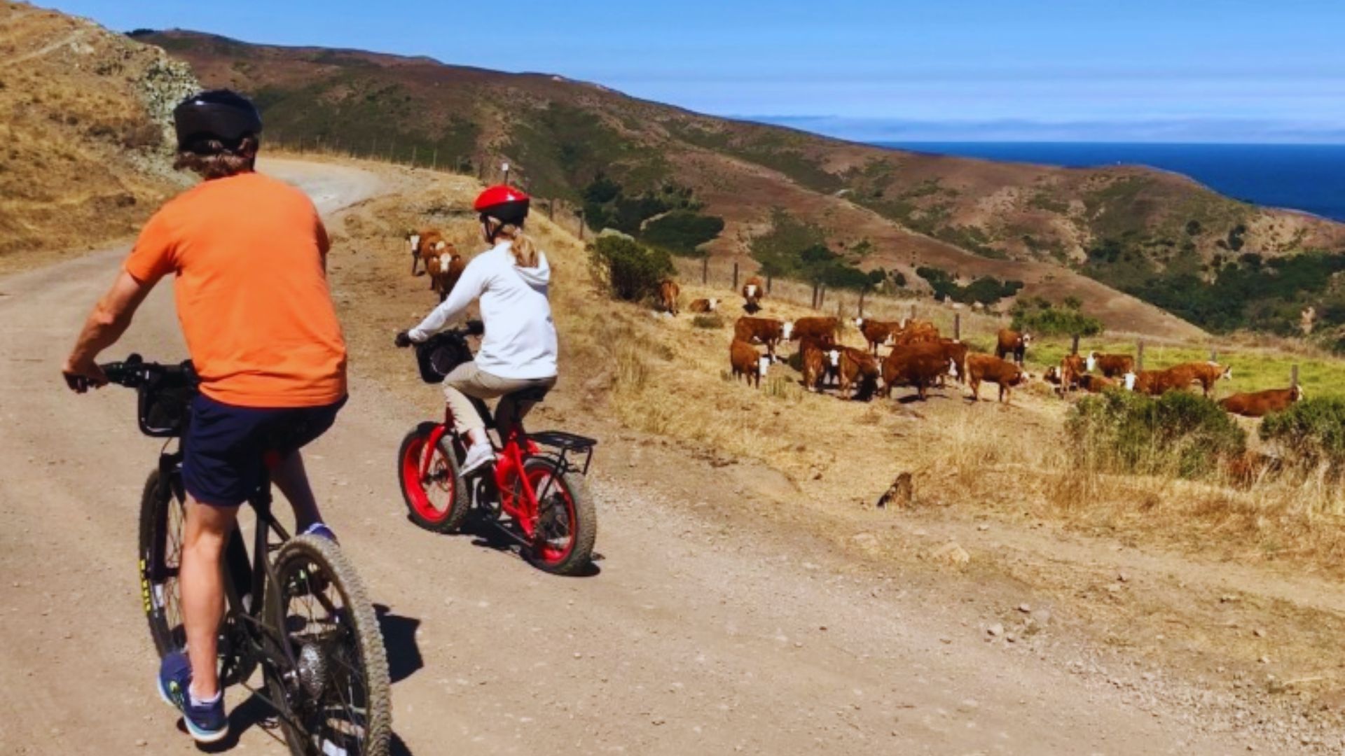 9. Old Coast Road Adventure