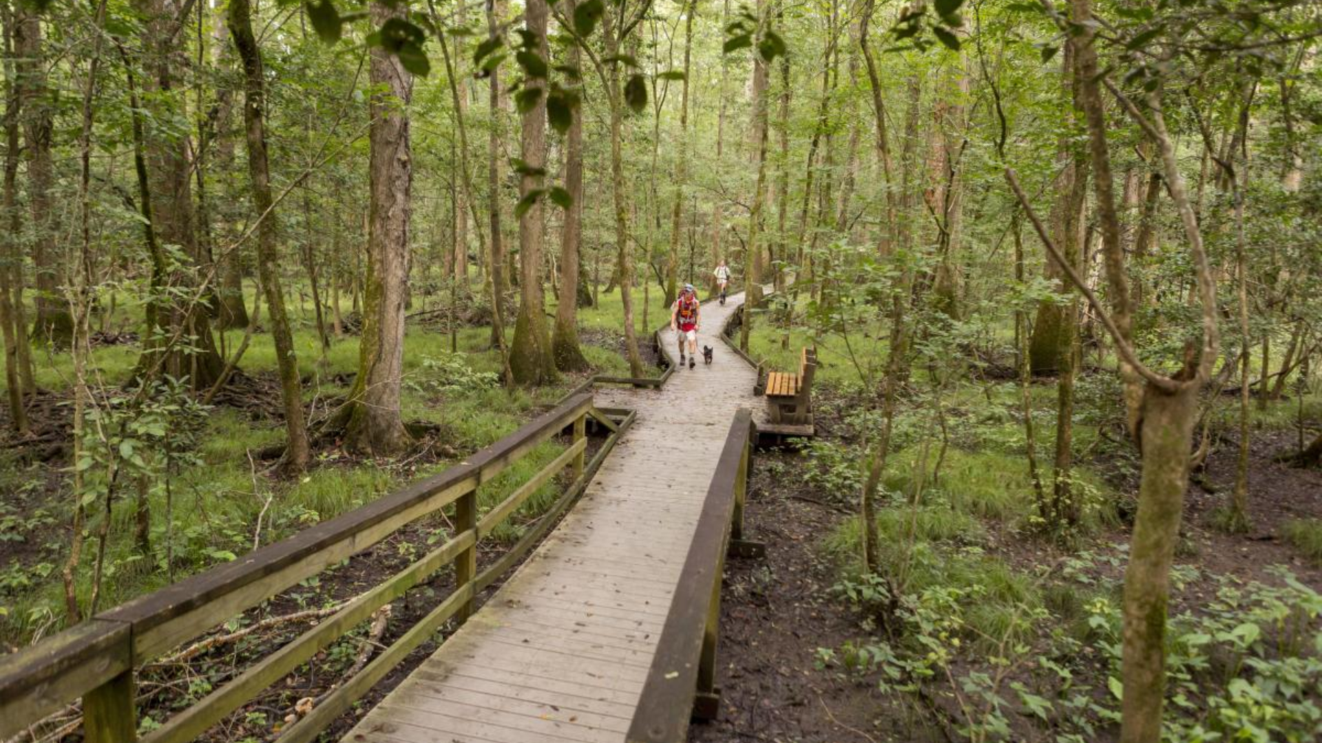 Congaree National Park