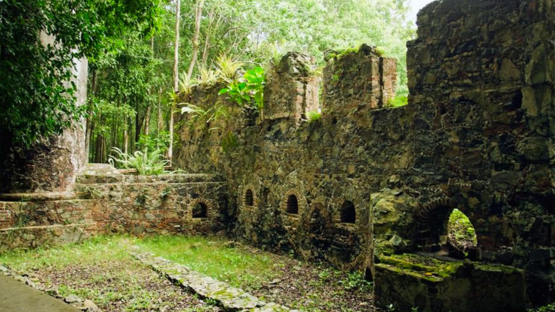 Visit Cinnamon Bay Plantation Ruins