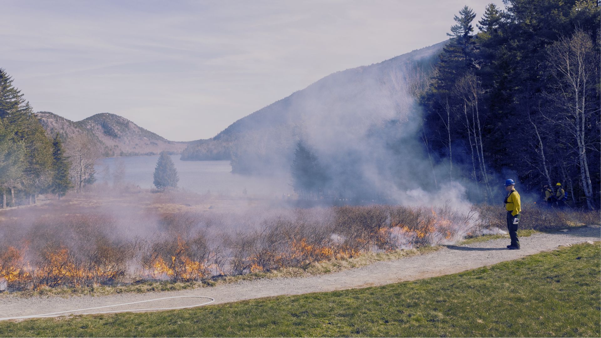 The Great Fire That Almost Destroyed