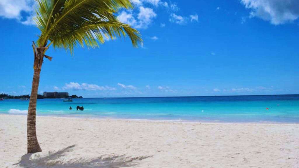 9 Barbados Beaches You Can’t Miss (Best Coasts & Tips)