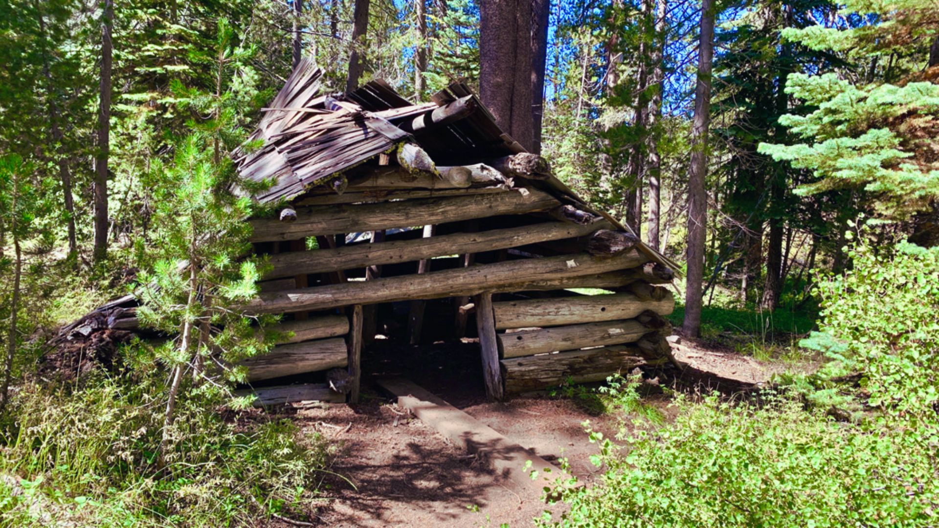 McGurk Meadow and Historic Cabin