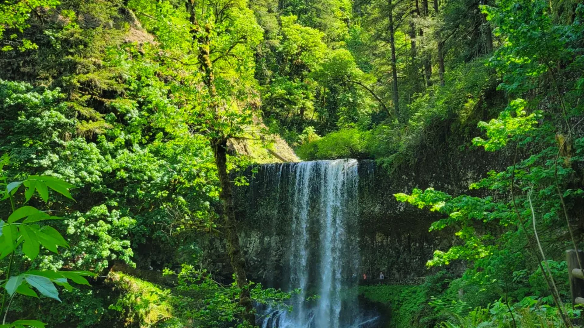 15. Silver Falls (Trail of Ten Falls)