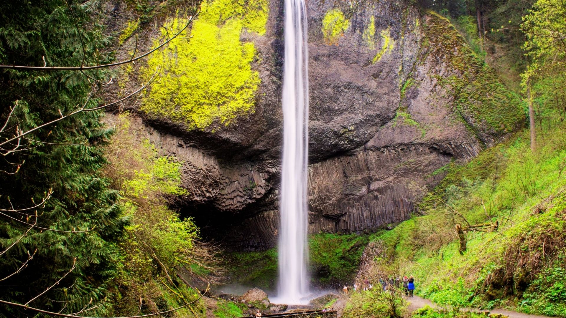 Latourell Falls Loop