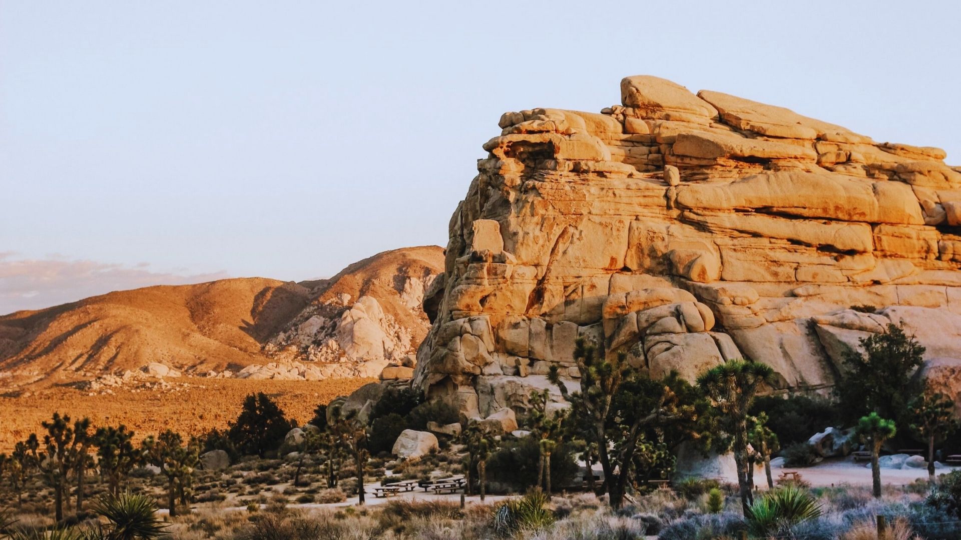 A panoramic vista of Joshua Tree National Park, highlighting its unique desert flora and striking geological features.