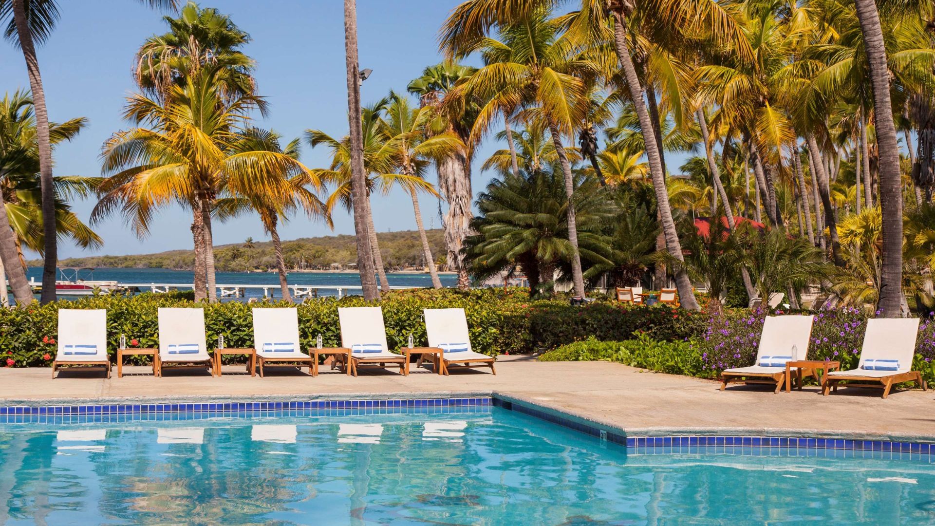 A serene pool surrounded by lounge chairs and palm trees, creating a relaxing tropical atmosphere.
