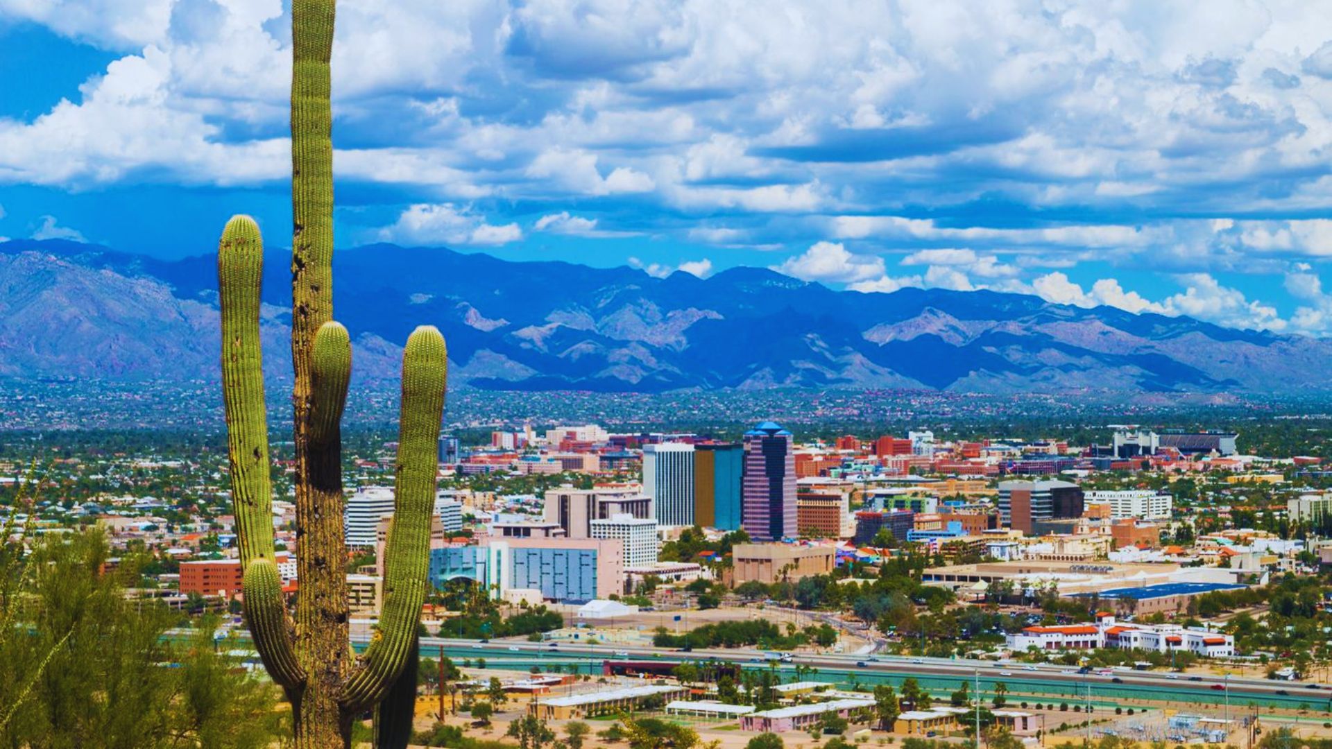 Arizona cityscape featuring cacti in the foreground and mountains in the background under a clear blue sky.