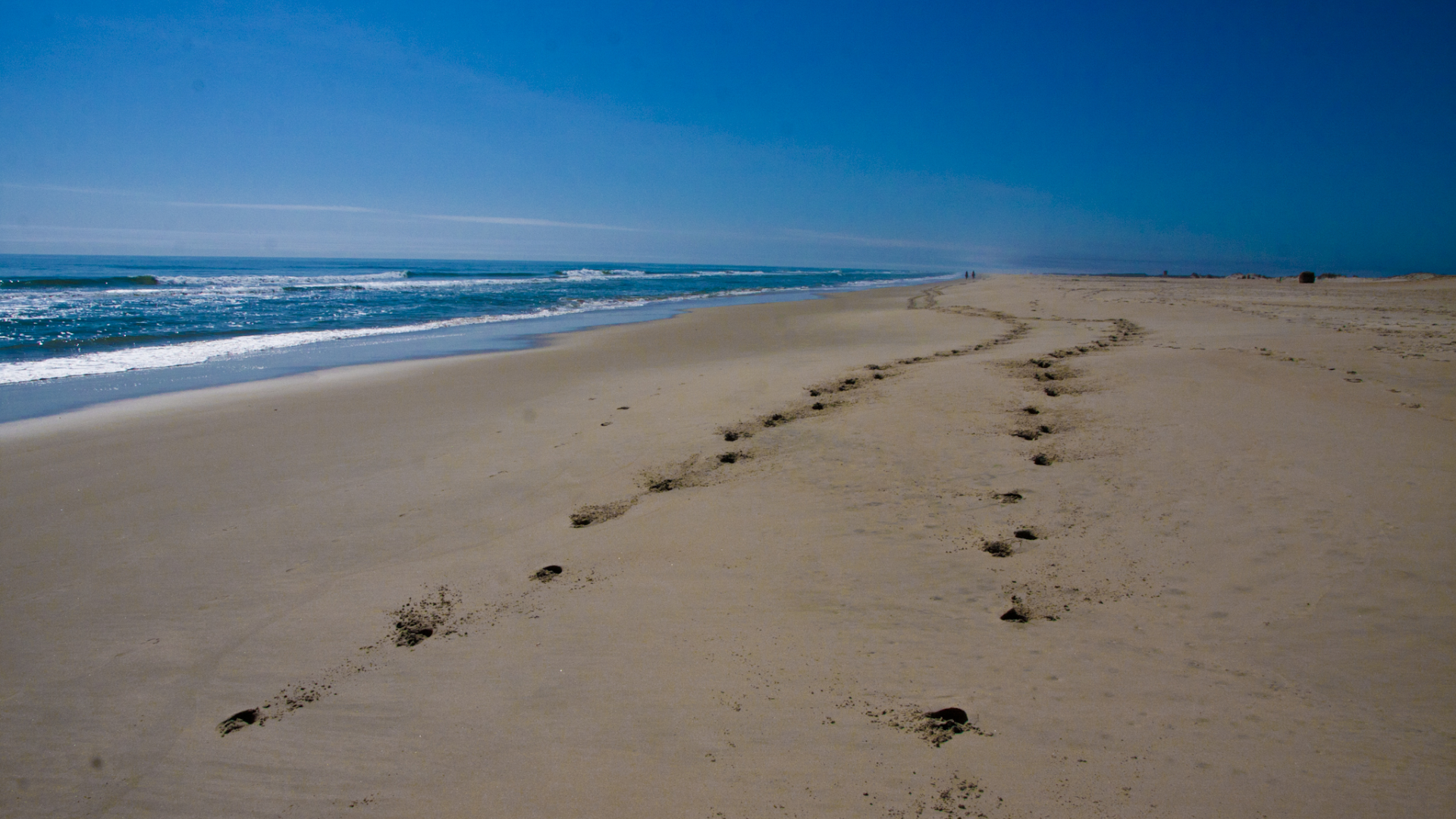 Assateague Island National Seashore
