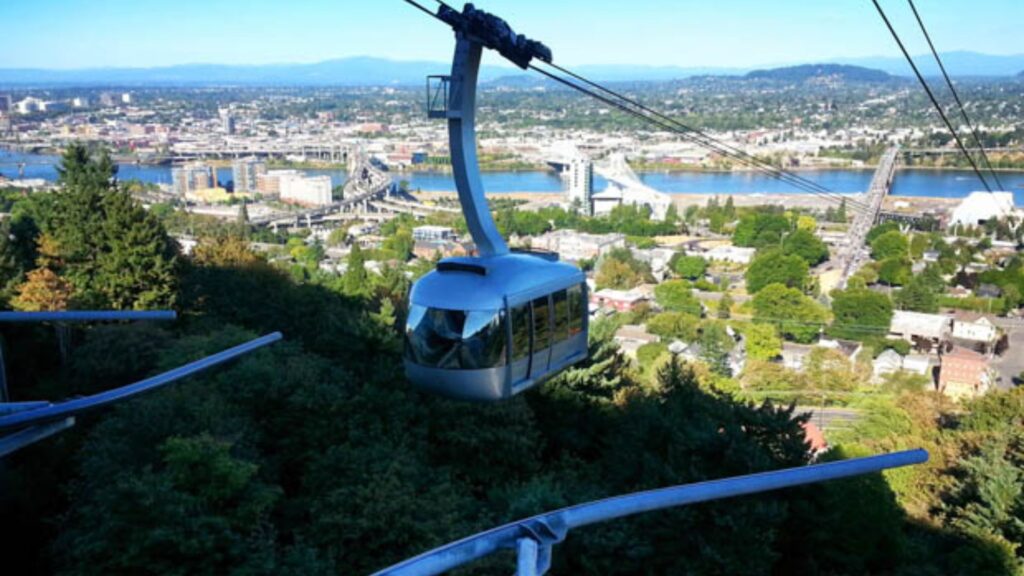 A cable car ascends a mountain, surrounded by trees, with a city skyline visible in the background.