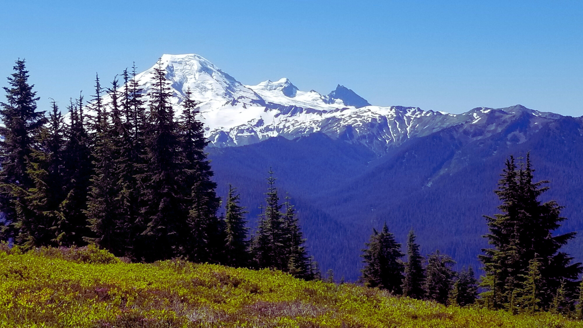 12. Excelsior Pass & Damfino Lakes